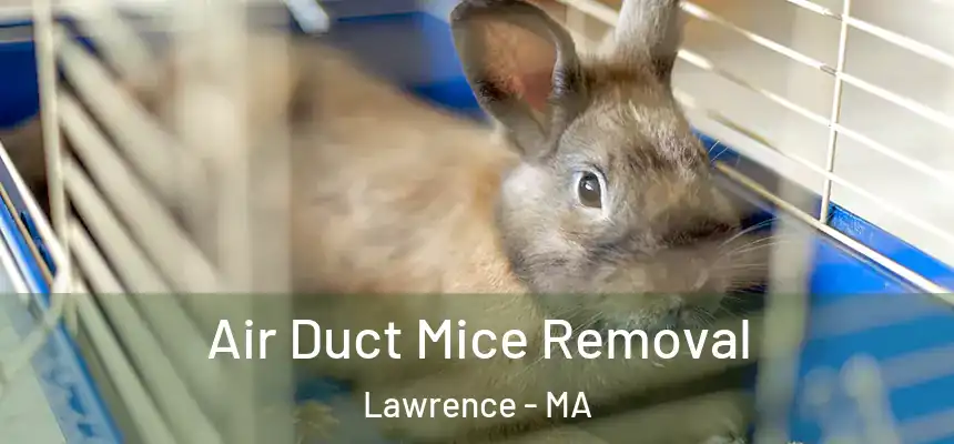Air Duct Mice Removal Lawrence - MA