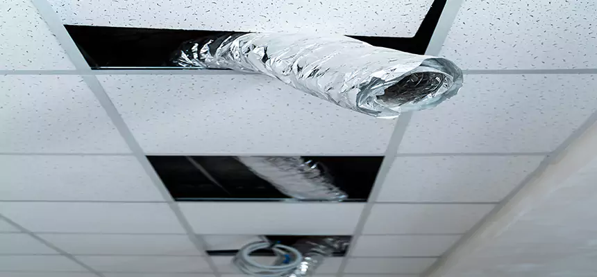 Our Air Duct Pet Hair Removal Services in Lawrence, MA