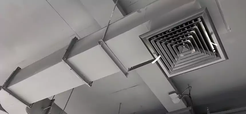 Restorative Allergy Relief Vent Cleaning – Coil, Blower & Housing Detail in Lawrence