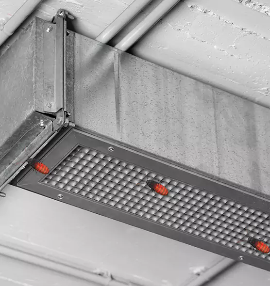Affordable Insect Removal from Air Ducts in Lawrence, MA
