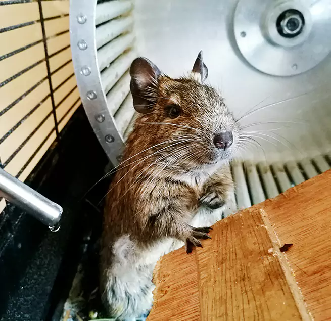 Why Homeowners & Businesses Trust Us Lawrence, MA