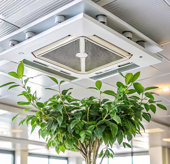 Why Homeowners & Businesses Trust Us in Lawrence, MA?